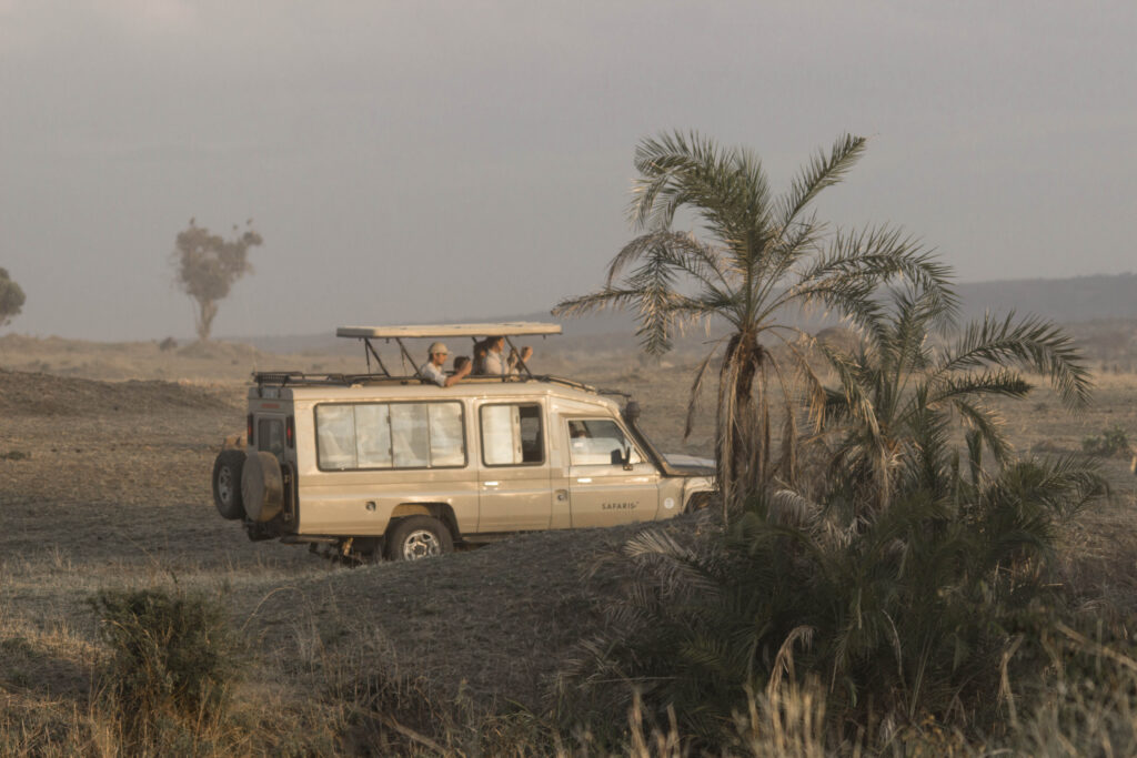 Your First Safari Adventure in Africa