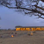 Exploring Asilia Camps | Unveiling Africa’s Premier Safari Destinations