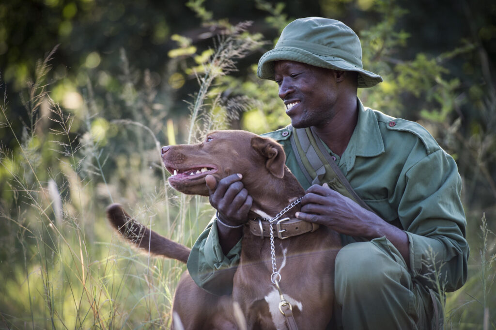 The Vital Role of a Park Warden in Wildlife Conservation